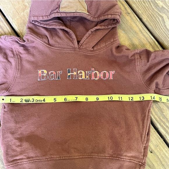 Wild Child Hoodie Moose Head Bar Harbor Size 4T Pockets Brown - Picture 5 of 9